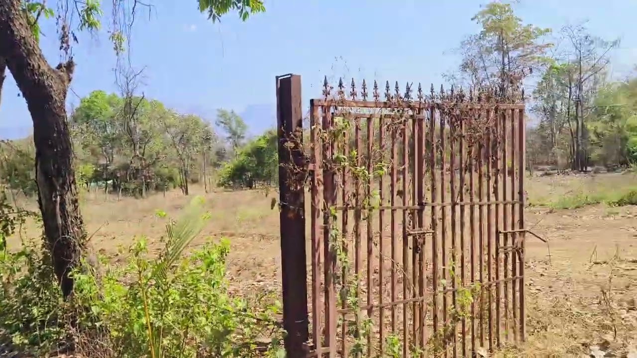 50 guntha plot murbad market 8 km distance malsej hill proparti murbad mor ditel 9226224222bhushan s