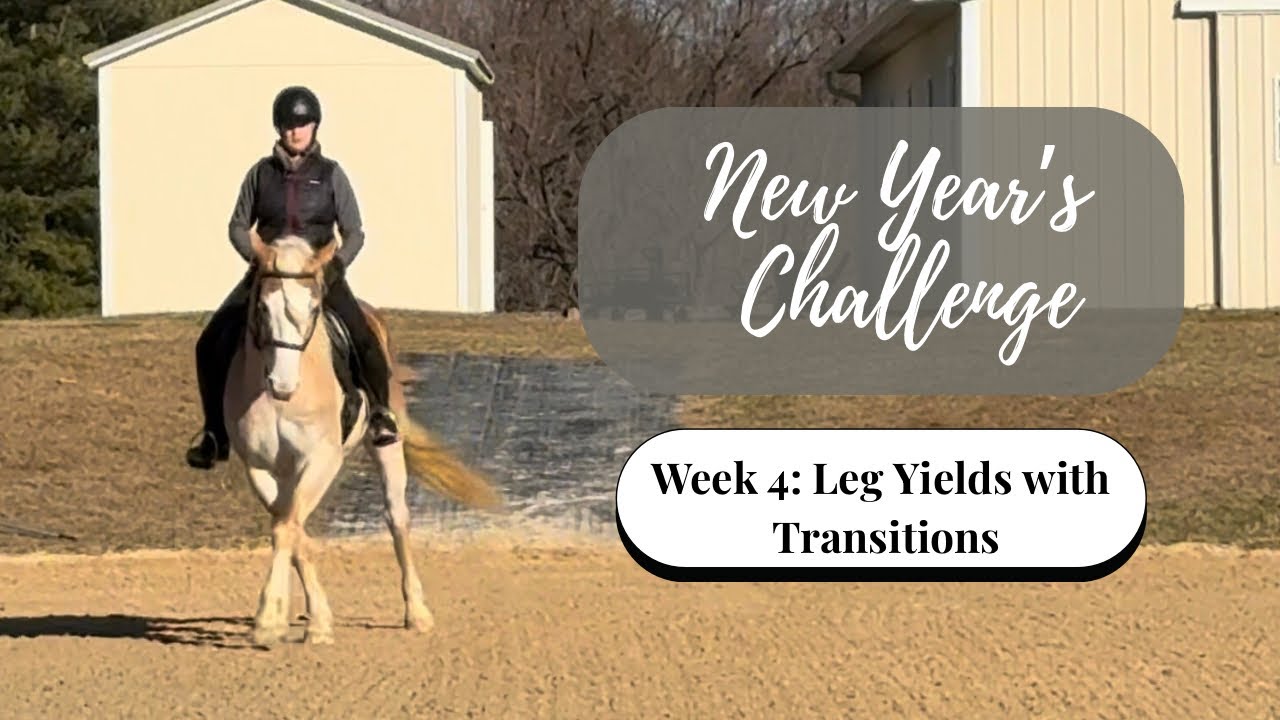 New Year’s Challenge Week 4: Leg Yields with Transitions
