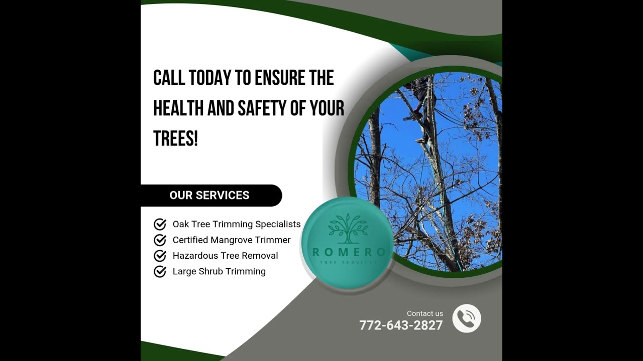 Landscape risk? Ensure the health and safety of your trees with an expert!
