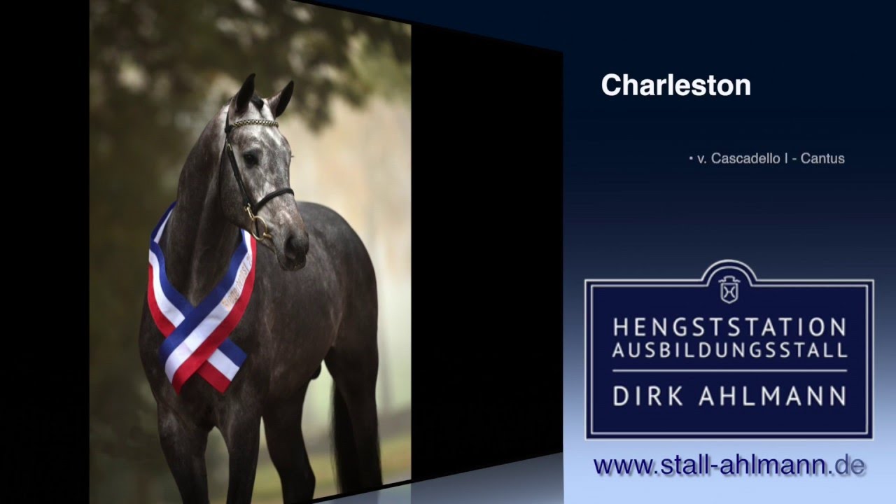 Dirk Ahlmann - Charleston - Hengstpräsentation 2016