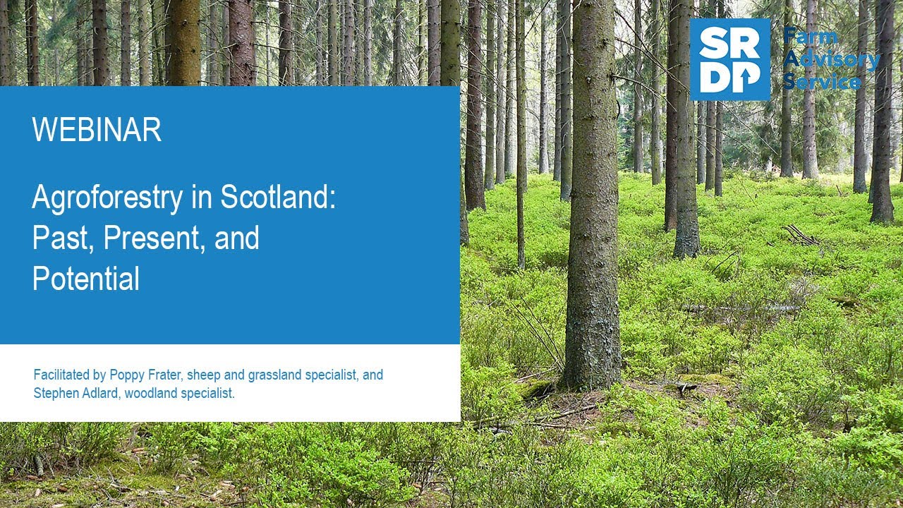 Webinar: Agroforestry in Scotland: Past, Present, and Potential