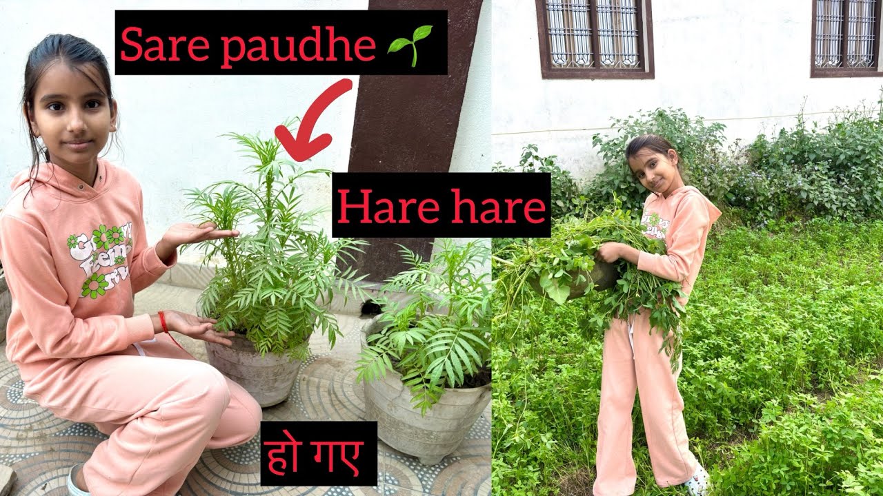 आज तो हद ही कर दी इन लोगों ने 😡😡