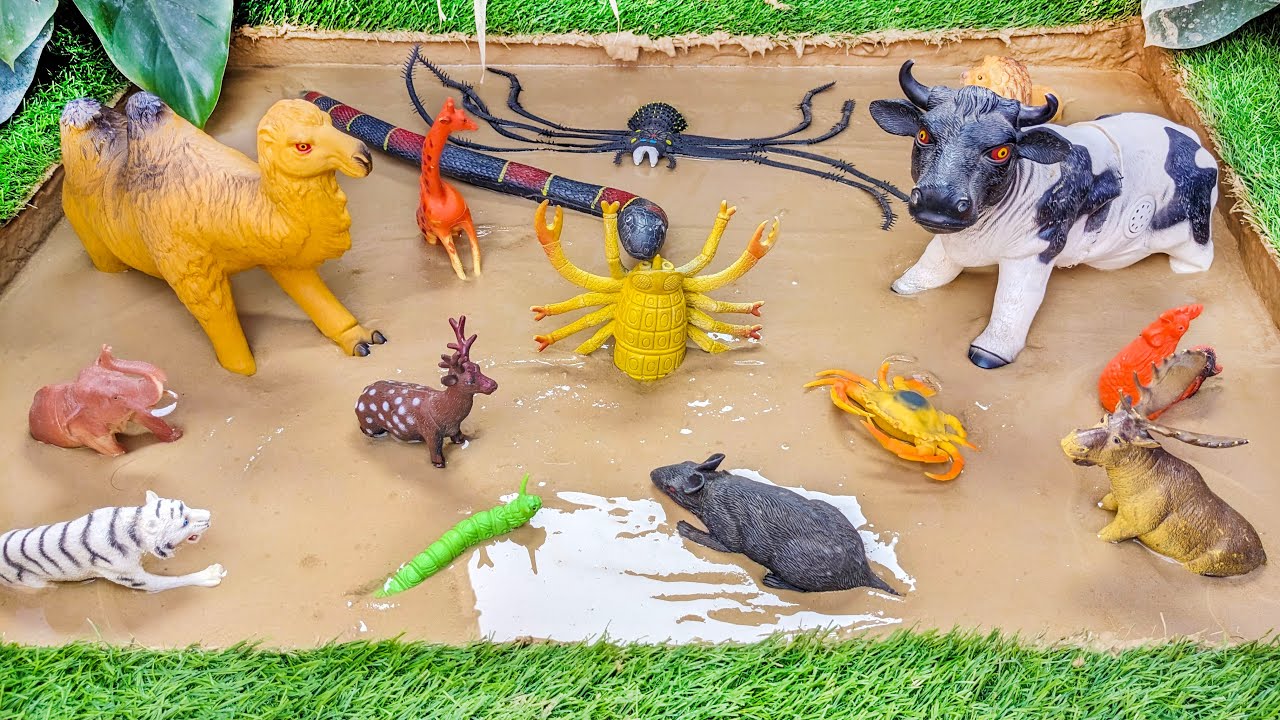 Muddy Missions:💦 Animal Adventure &ndash; Rescuing Farm Animals and Insects From Mud