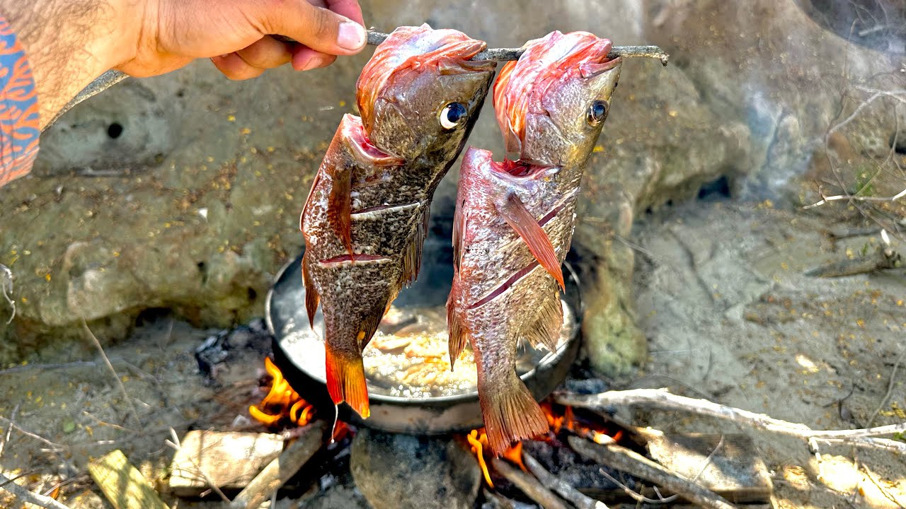PESCA y COCINA de PARGOS al DISCO || pescando en manglares de MAZATLÁN SIN. 