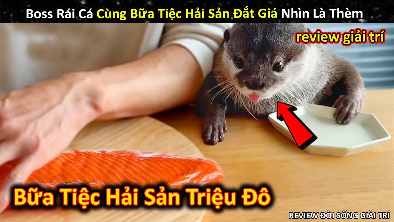Cùng Boss Rái Cá Khám Phá Bữa Tiệc Hải Sản Siêu Đắt Giá Và Cái Kết || Review Giải Trí Đời Sống