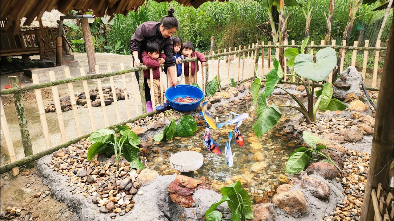 Build a Super Cheap Fish Tank But Raise Fish Worth Thousands of Dollars | Ly tieu tieu