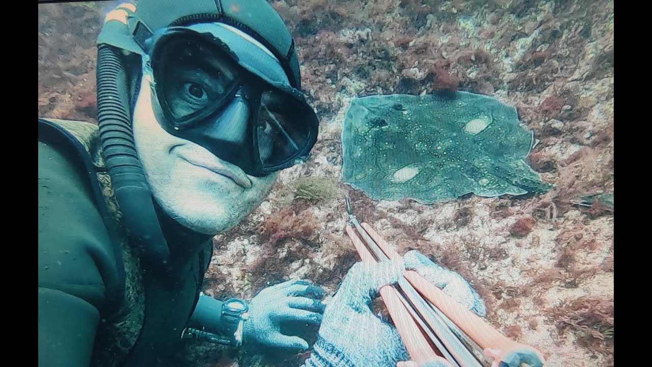 Pesca submarina en el Cantabrico  :   