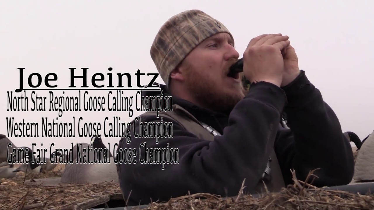 Goose Hunting - Feet Down Beat down !