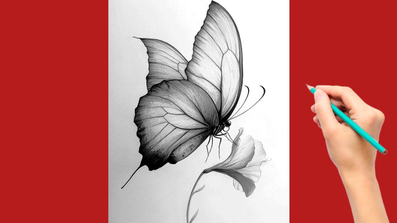 Realistic Butterfly Pencil Drawing | Easy Step by Step Sketch for Beginners