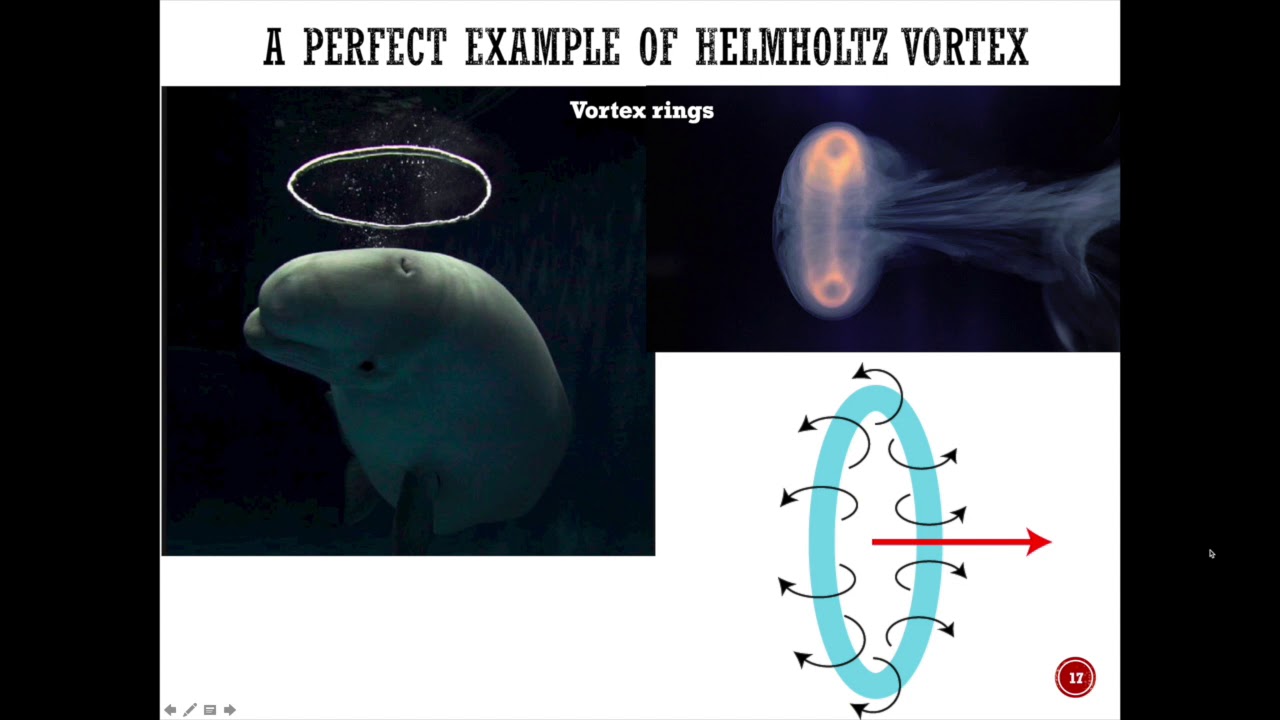 Connection Between Kutta Joukowski Theorem and Finite Wing Aerodynamics