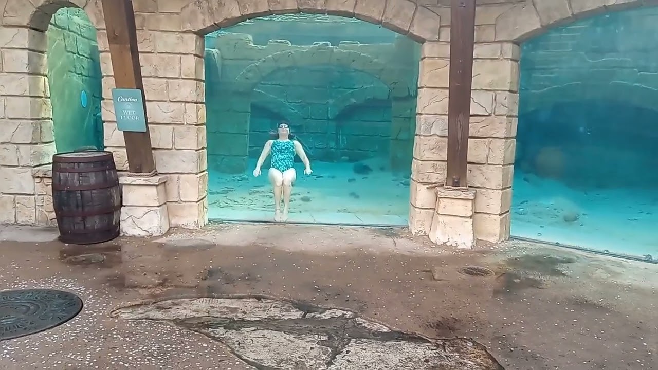 SeaWorld 