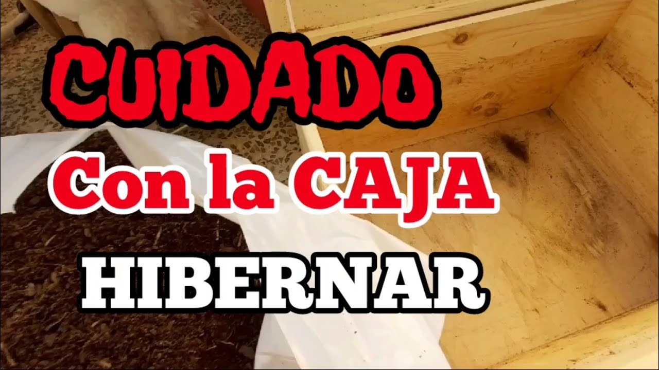 Caja para Hibernar tortuga CUIDADO