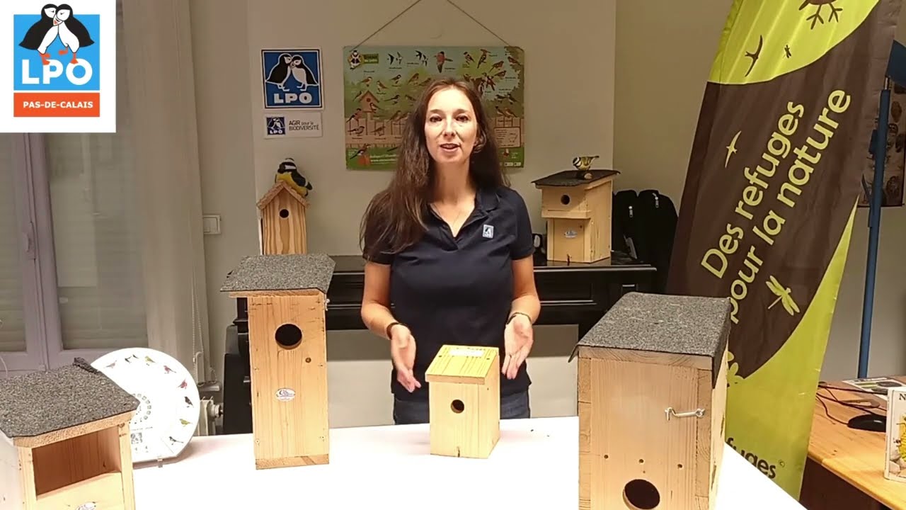 L'Accueil des oiseaux