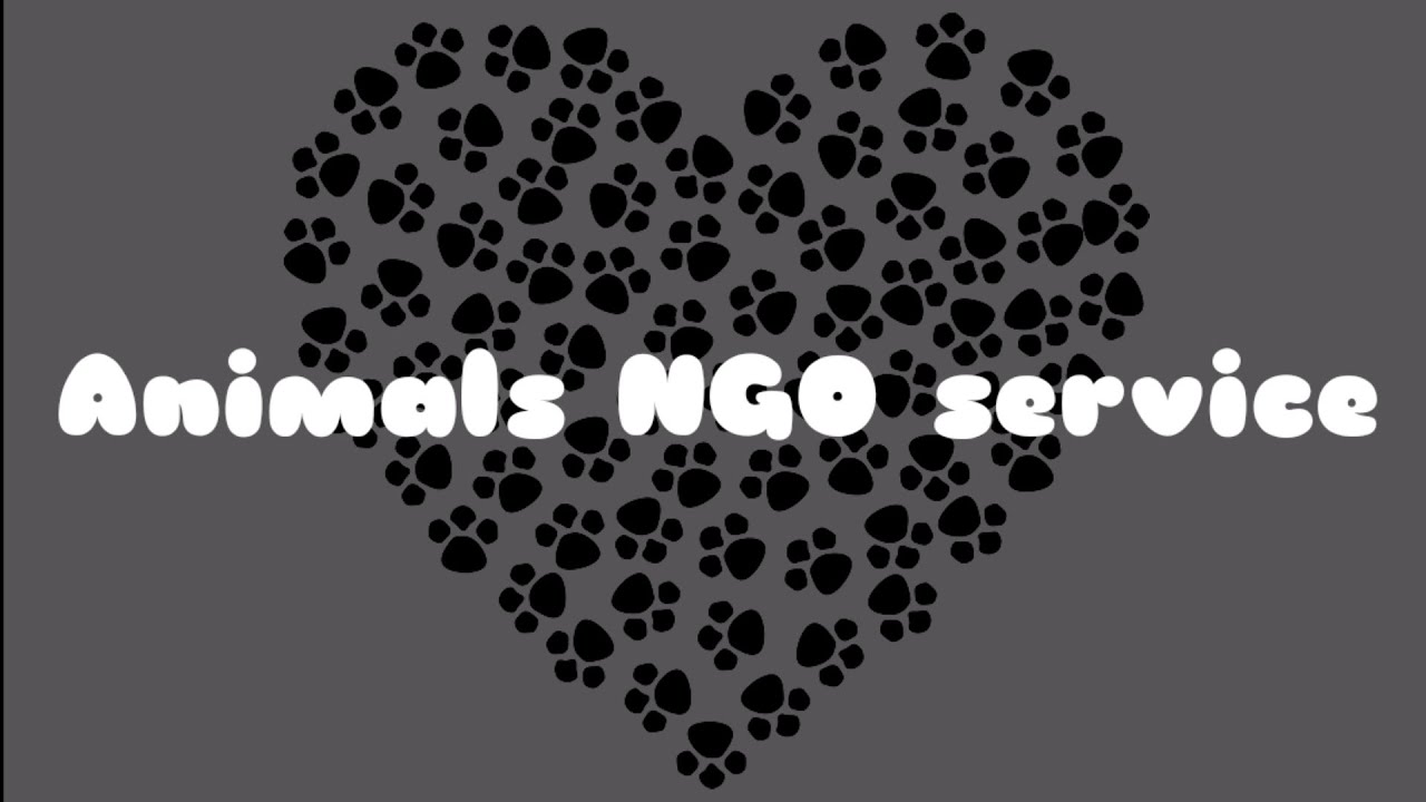 Animals NGO services in English