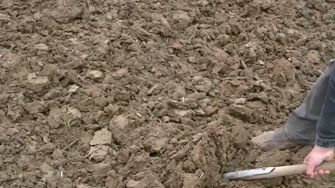 Test Agrisem Combilpow 38, praca na głębokości 45cm po deszczu, kwiecień 2012 .avi