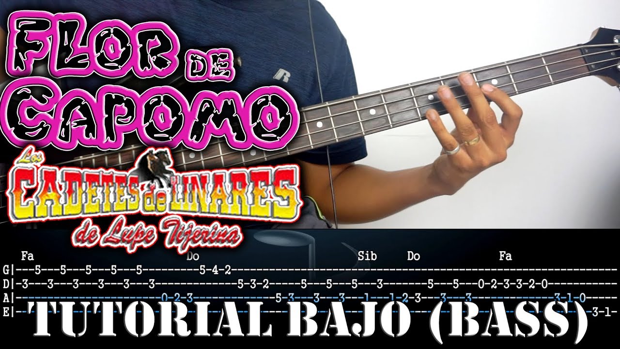 Tutorial | Flor de capomo | Los cadetes de Linares | Bajo electrico (BASS) | TABS