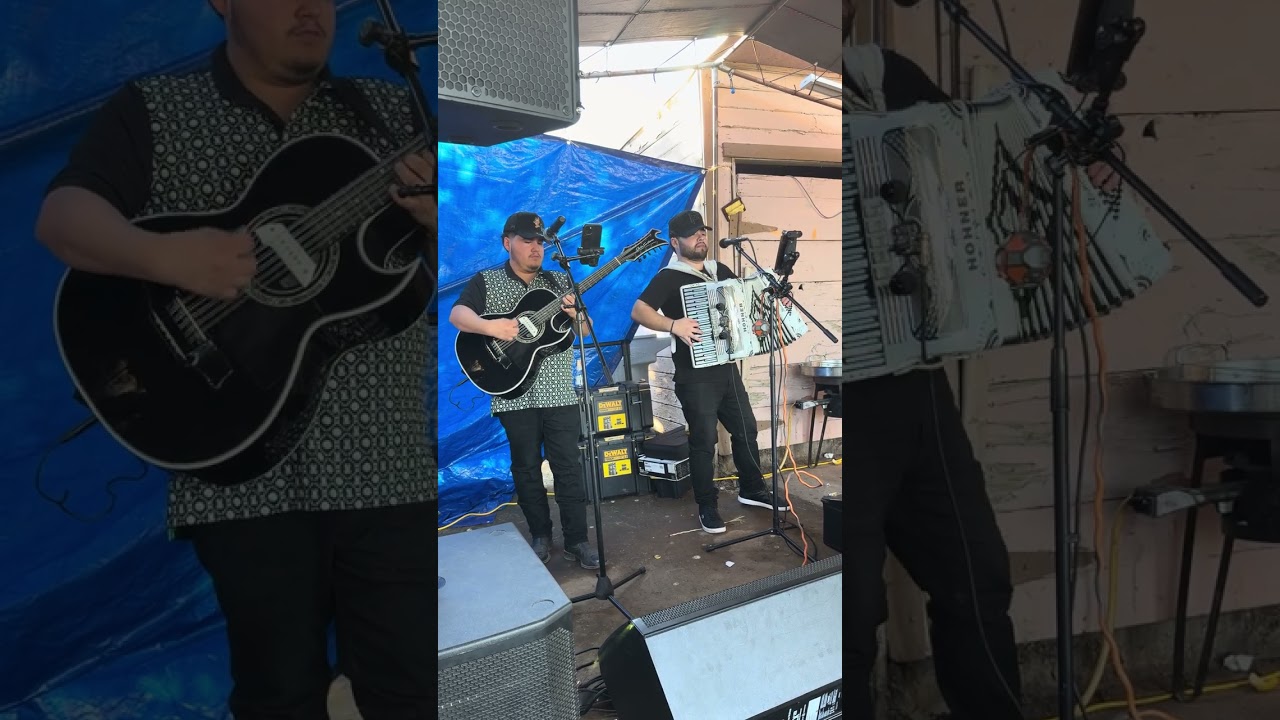Yo soy el MF- Los plebes de Sinaloa