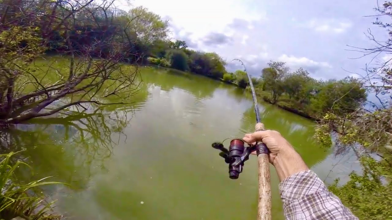 Fishing with Frozen Prawns: Great Session!