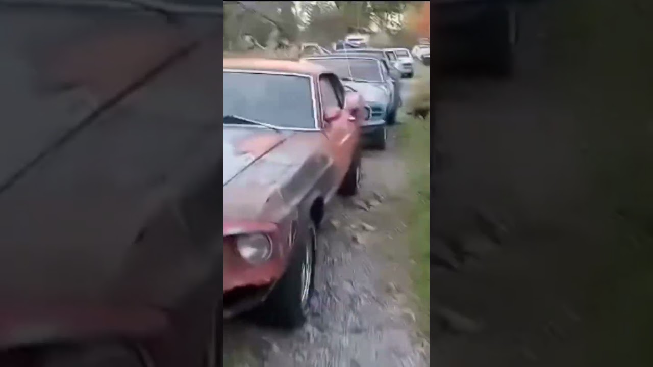 Plymouth Barracuda 1965 года, Ford Mustang Mach1 1969 года, Ford Mustang Fastback 1970 года и мно...