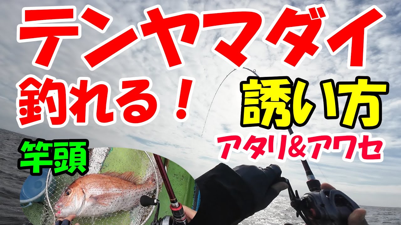 【一つテンヤ】釣れる！誘い方がハマって竿頭！｜実釣＆解説 ｜遊動テンヤ真鯛