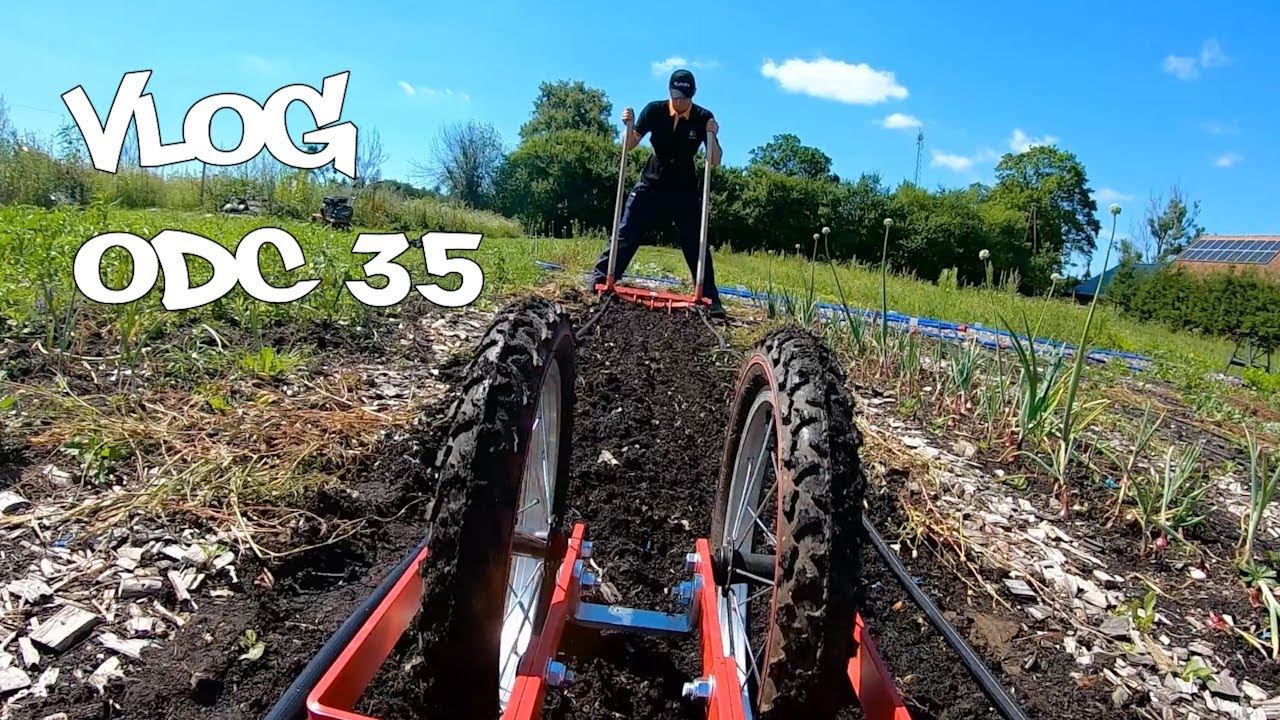 Ostoja Vlog odc. 35 narzędzia Terrateck w praktyce - Broad-fork i Double-wheel hoe