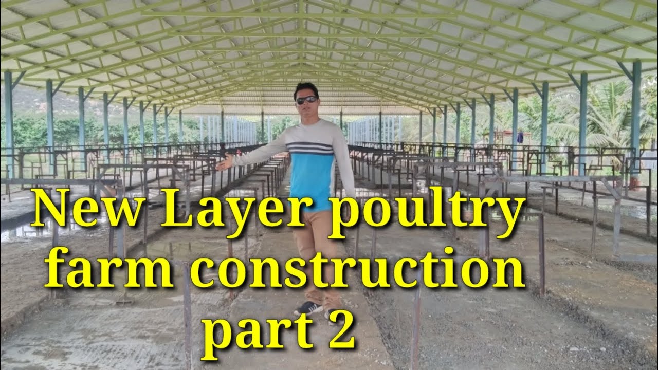 New Layer poultry farm construction part 2 || poultry business plan || Layer poultry construction
