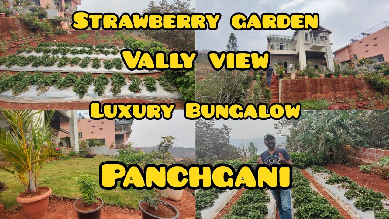 Panchgani - Vally View Bungalow ( पंचगणी)