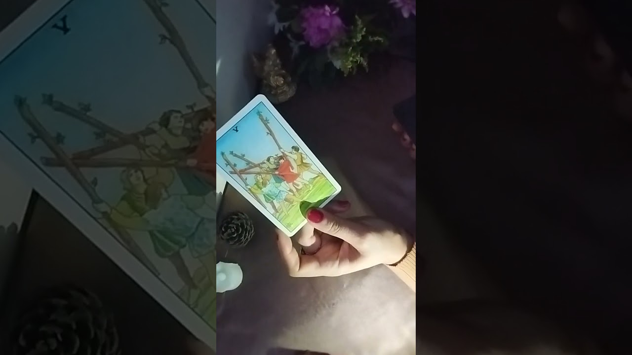مواليد ♉ الثور🐃من 1الى 15فيفري /فبراير /شباط 2026