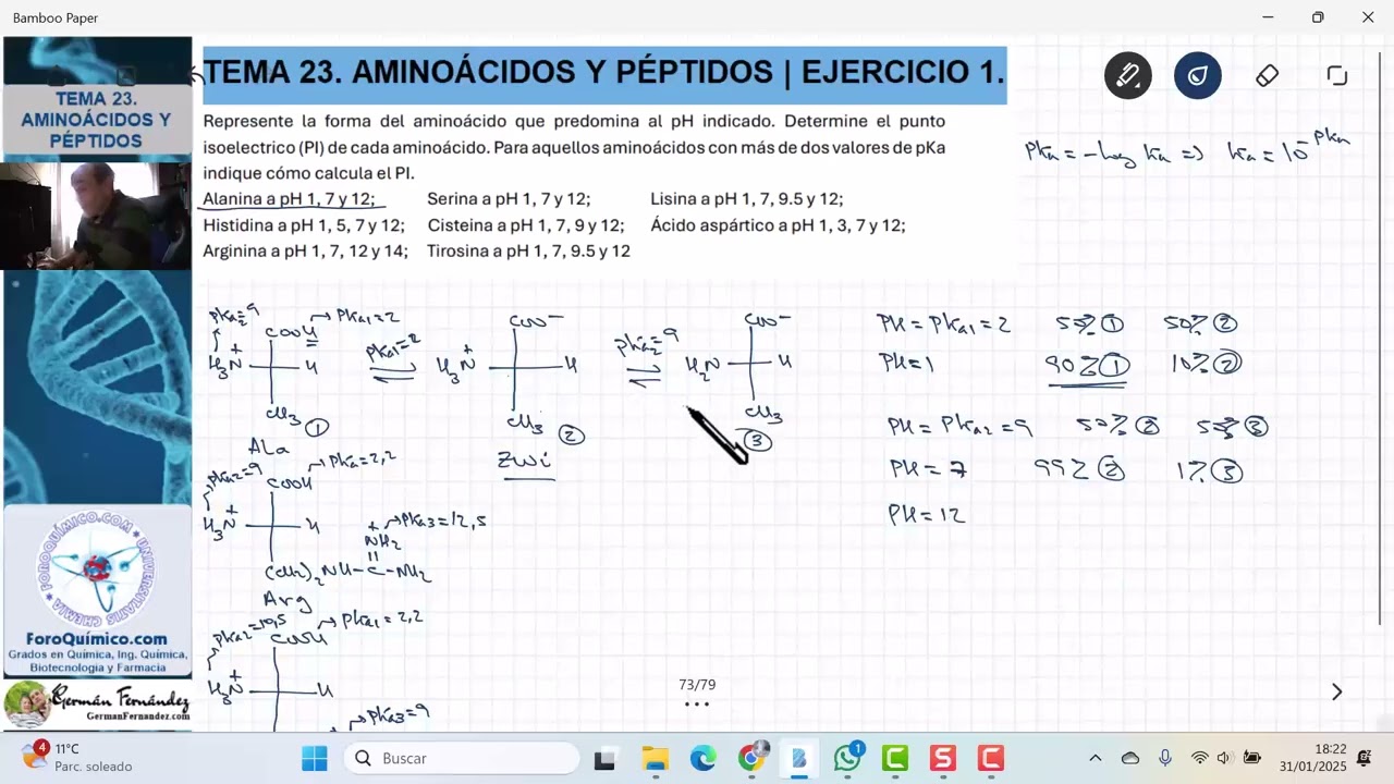 TEMA 23. AMINOÁCIDOS Y PÉPTIDOS | EJERCICIO 1. INDICAR FORMA PREDOMINANTE A DIFERENTES pHs
