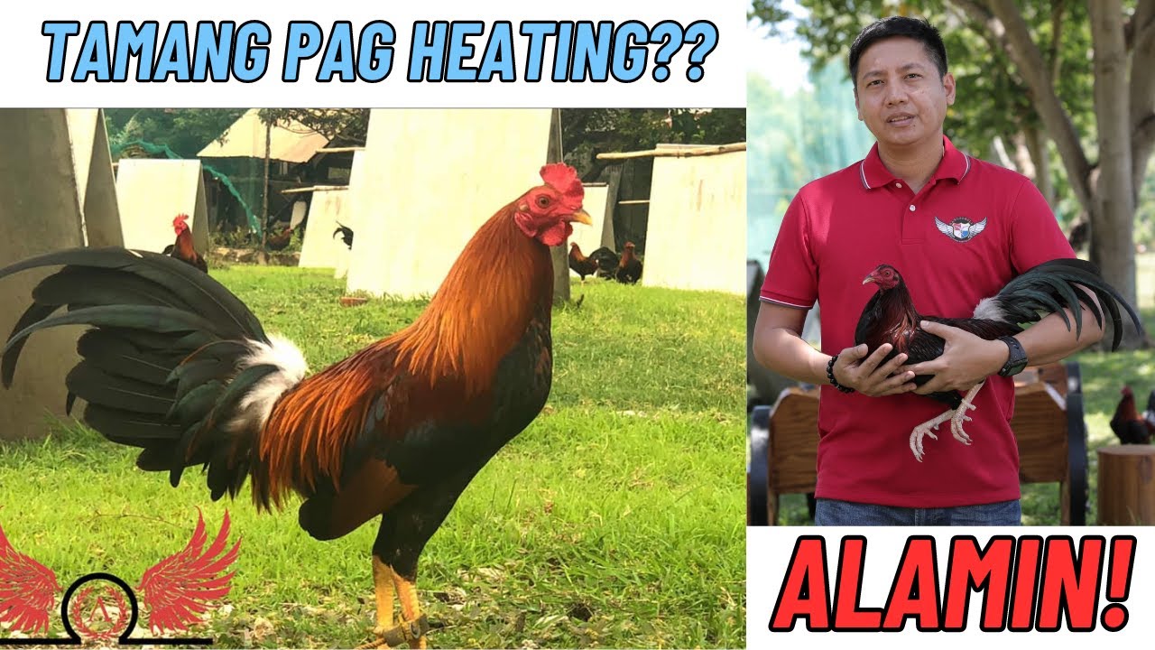 Tamang Pag 