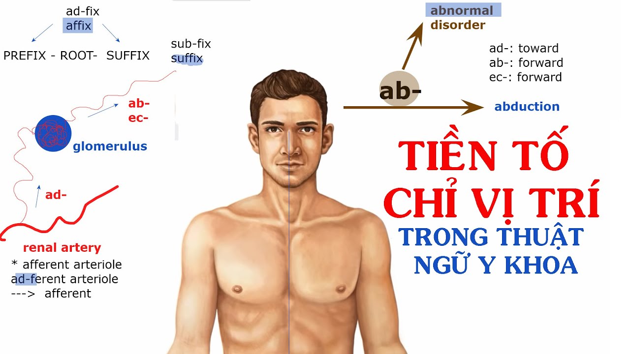 PREFIX (TIỀN TỐ) CHỈ VỊ TRÍ - TIẾNG ANH CHUYÊN NGÀNH Y KHOA - Cho người mới bắt đầu 2020