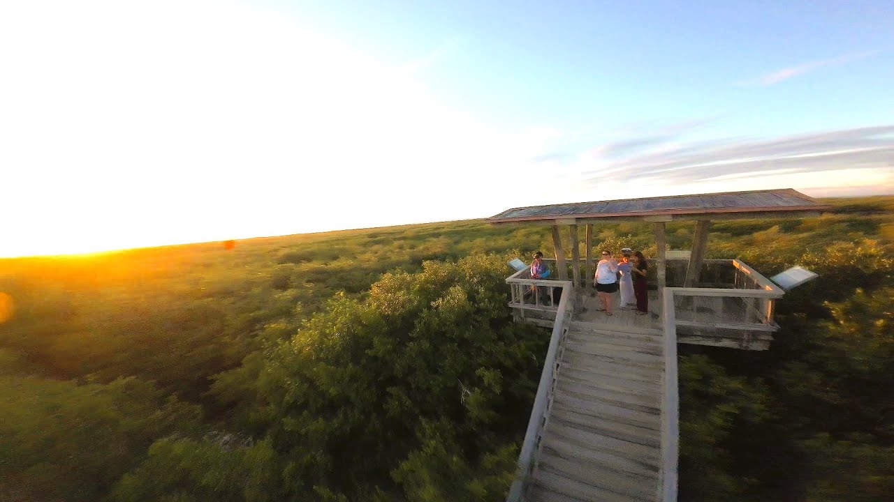 Full Flight Low Level FPV - Florida Wetlands | Flywoo Explorer LR4 O4 Pro