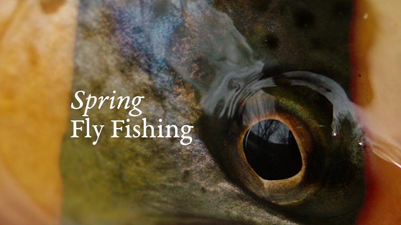 Spring Fly Fishing