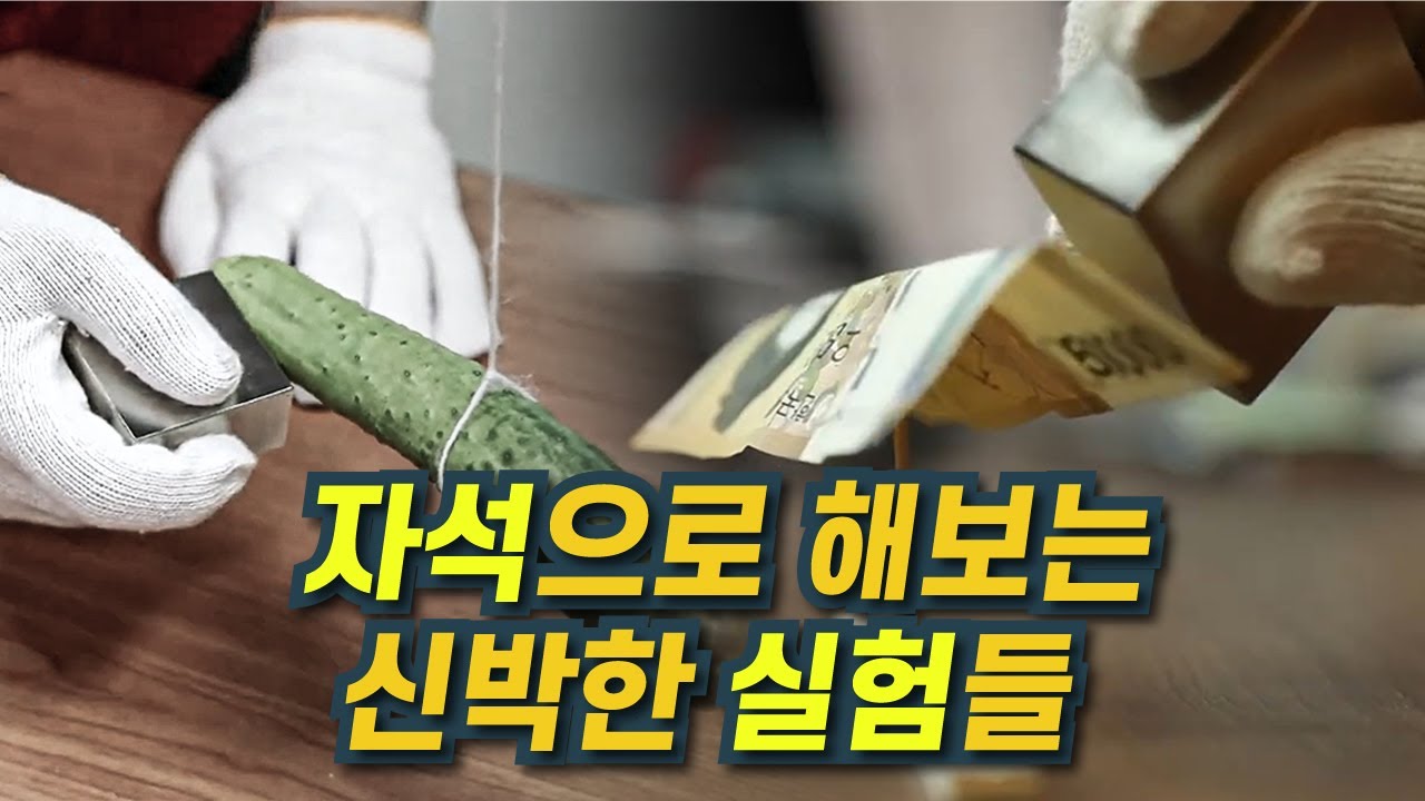 [과학다반사] 신비한 자석실험 / YTN 사이언스