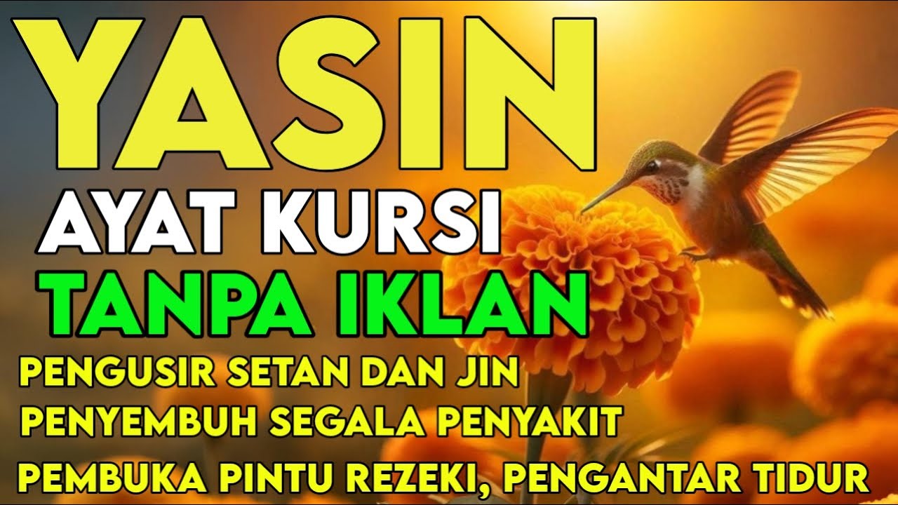 Surah Yasin & Ayat Kursi Pengusir Setan dan Penyembuh Segala Macam Penyakit, By: Alaa Aqel