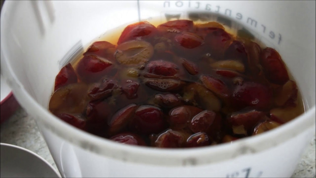 How to Make Organic Plum Wine at Home! Part 1 Primary Fermentation