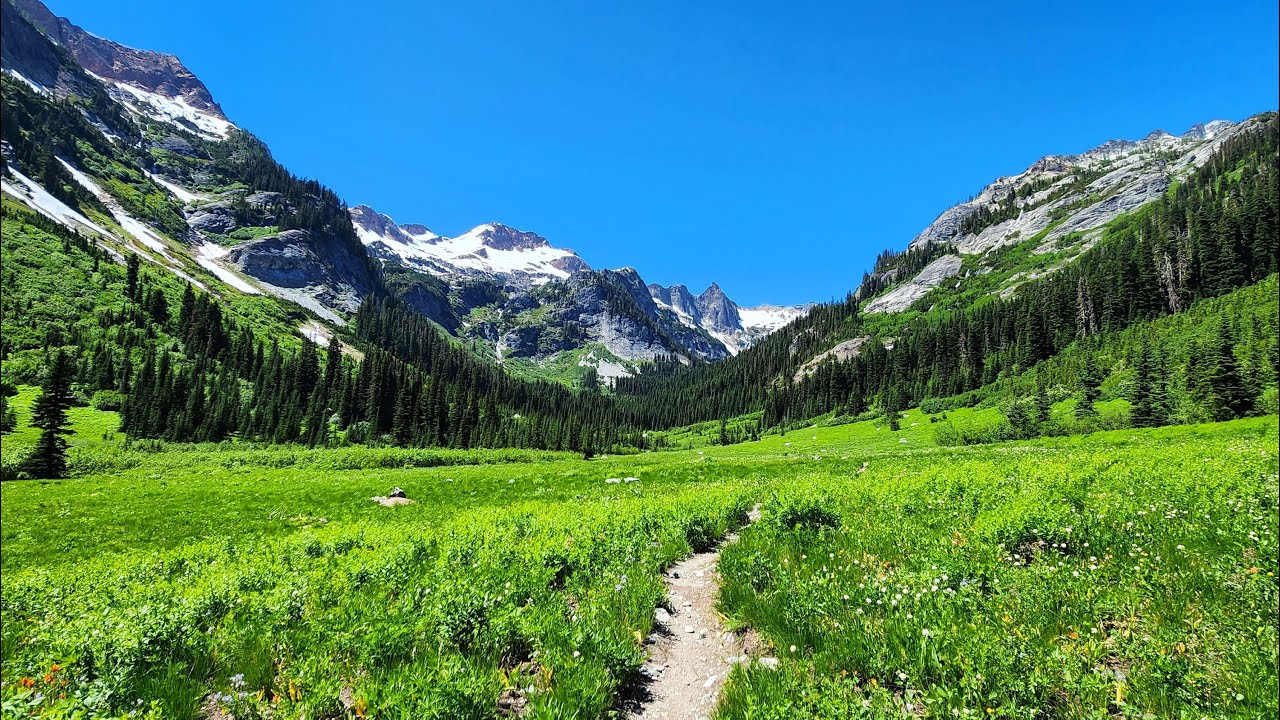 Spider Meadow - Phelps Creek Trail - Glacier Peak Wilderness