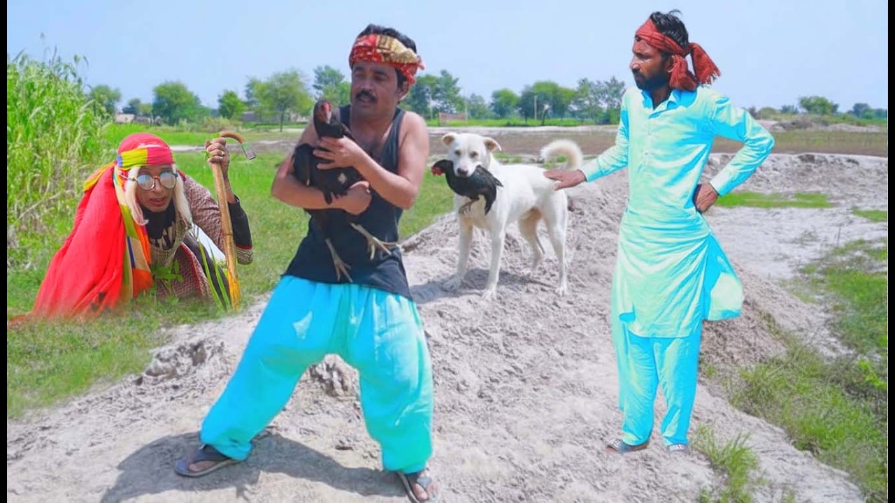 Number daar Aur Dadi Ki Murghi Must Watch Saraiki Funny Video New Top Comedy 2025 Malngi Shabo