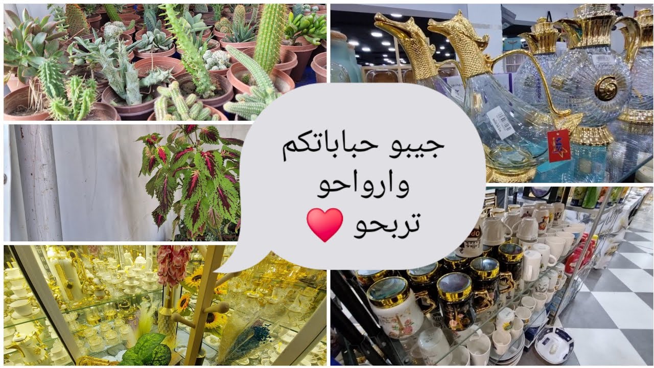 #مشتريات البيت الجديد من نباتات 😍🌵🌹 اول مسابقة في قناتي ❤