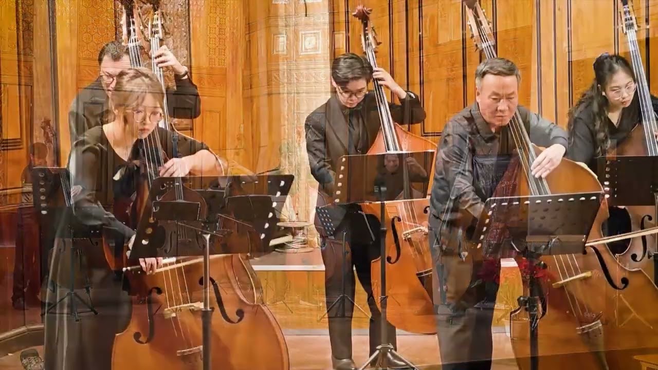 Shostakovich - Waltz No.2 - Biểu diễn : Nhóm Annam Bass Club