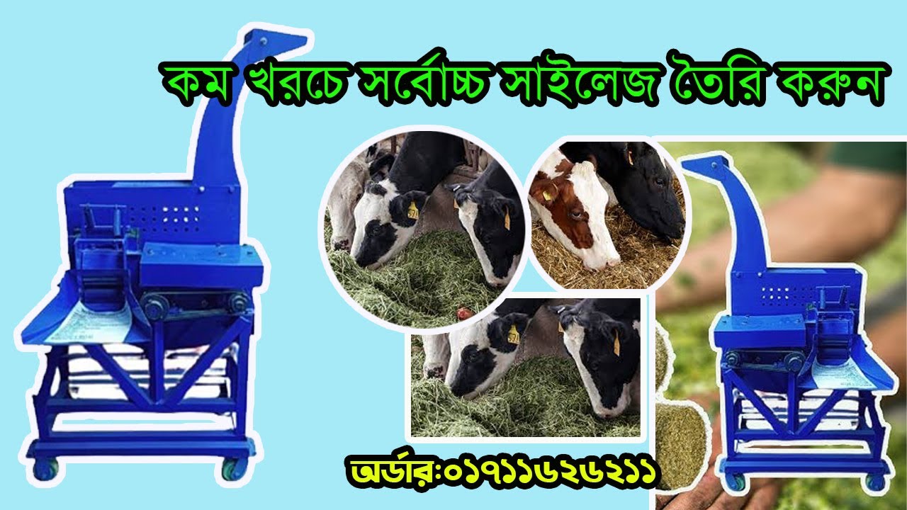 Silage machine price in Bangladesh | সাইলেজ মেশিন | সাইলেজ ঘাস কাটার মেশিন | ঘাস কাটার বড় মেশিন