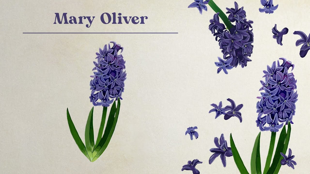 Caroline Spence - Mary Oliver (Lyric Video)