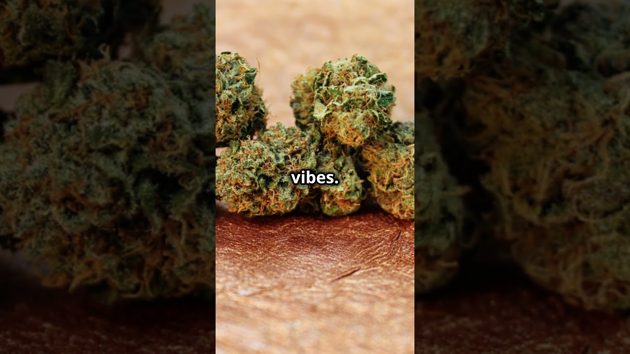 Top Favorite Cannabis Strains 🌿 | Relaxation, Creativity, & More! #Cannabis #CBD #Wellness #Strains
