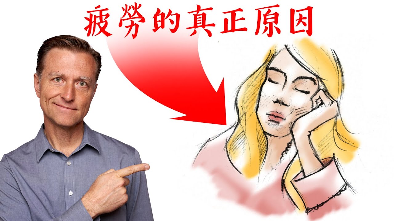 疲勞的真正原因,缺一種營養,沒能量活力,自然療法,柏格醫生 Dr Berg