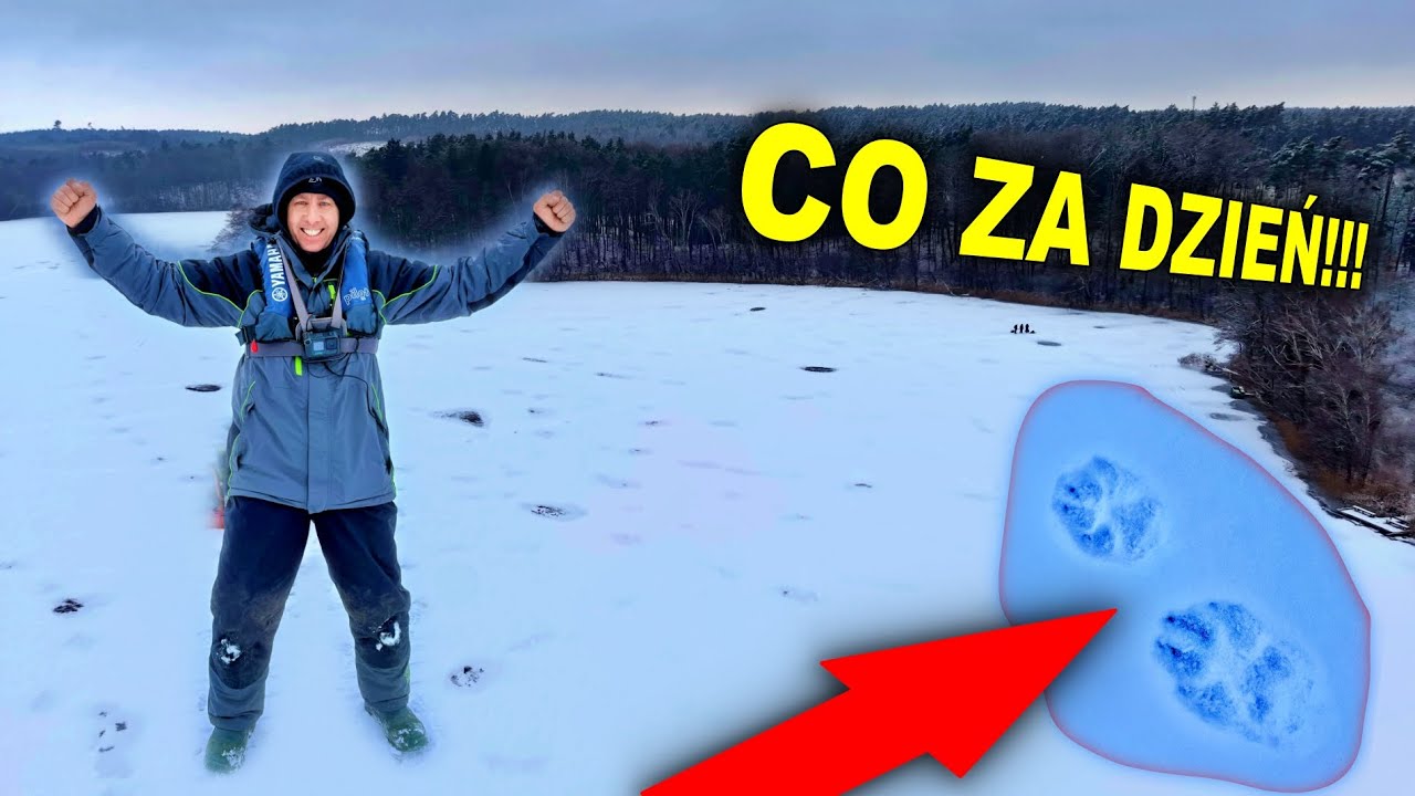 Zaliczyłem Okonie z lodu !!! Widziałem obiad Wilków i zepsułem kamery !!!