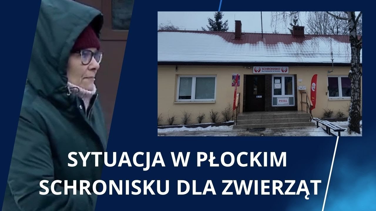 Sytuacja w Schronisku dla Zwierząt w Płocku