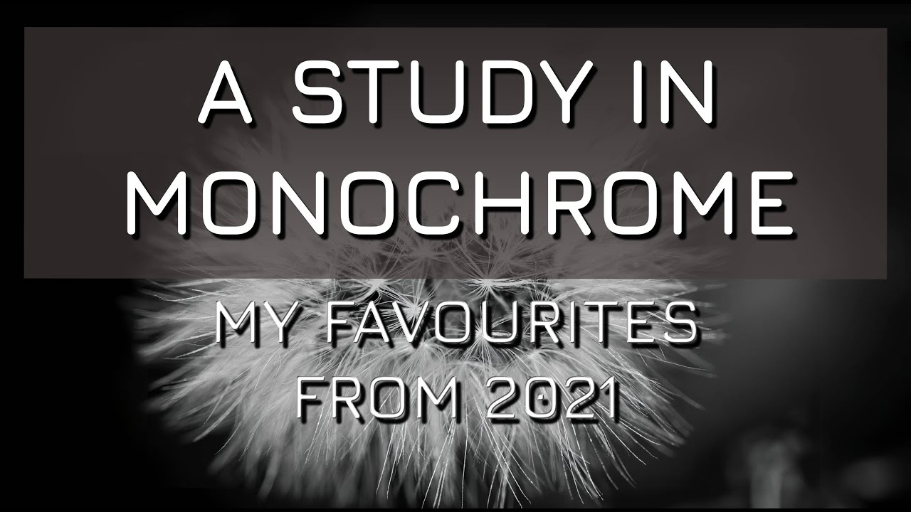A Study In Monochrome - my favourite Black And White Macro shots from 2021