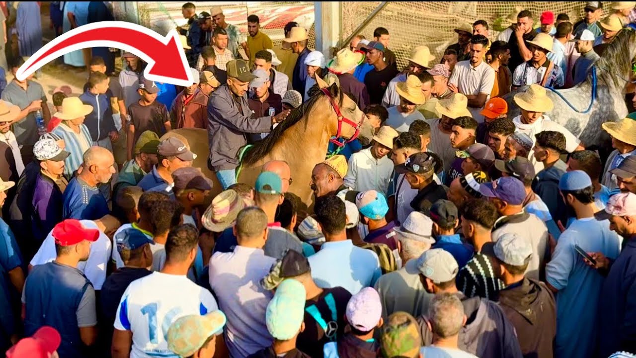 رحلة بادريس الى موسم سيد المختار اجي نشوفو سلعة لي عندو 😍🥹