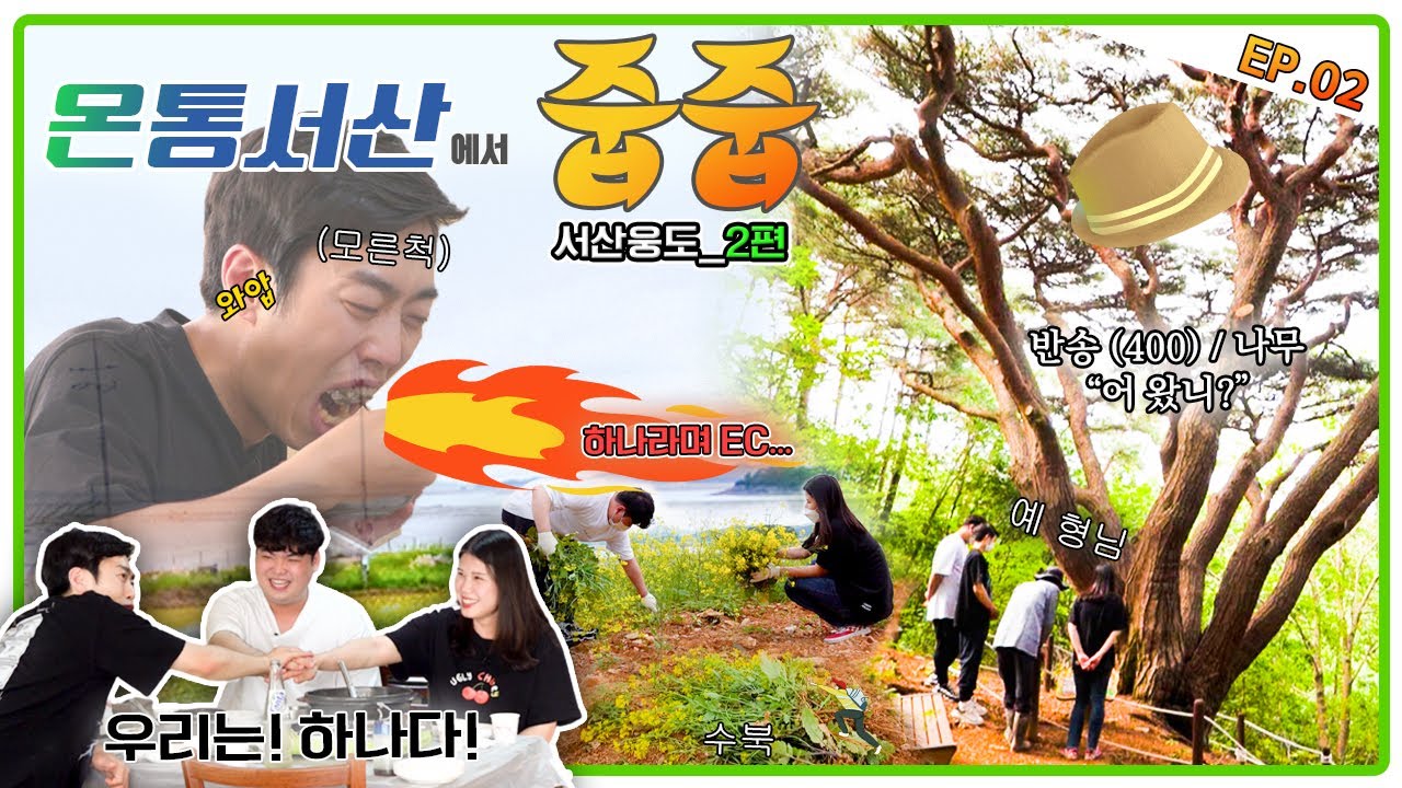 [온통서산에서 줍줍 ep.02] ‘문신멸치충’ 심문규! 웅도 반송님에게 소원 빌고 터졌다?! 웅도가 자랑하는 특별한 나무부터 근처 맛집까지 전격 해부