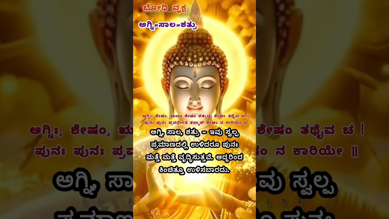 The enemy of fire should not be spared even a little #belakaguchetana #chanakyamotivation #budha #shortsviral